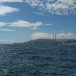 のませでハマチ2本