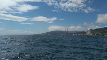 のませでハマチ2本