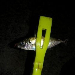 出遅れてしまいました!