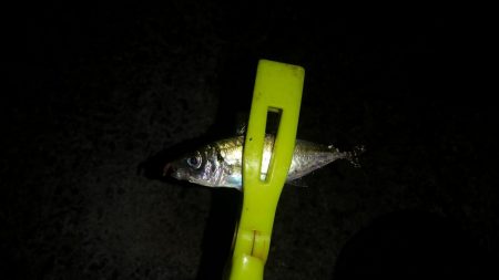 出遅れてしまいました!