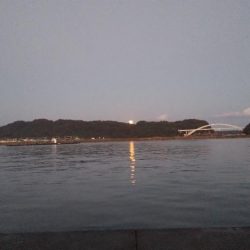 久しぶりのエギング