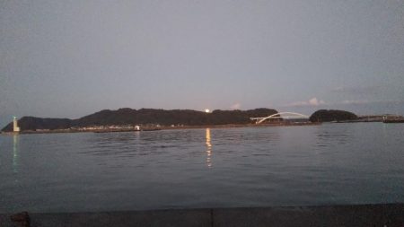 久しぶりのエギング