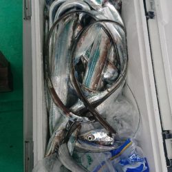 タチウオテンヤチャレンジ