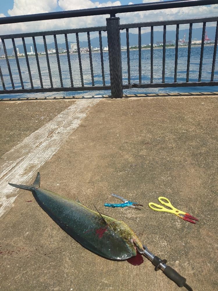 ジャンプする魚