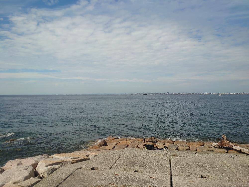 久しぶりのショアジギング🎣