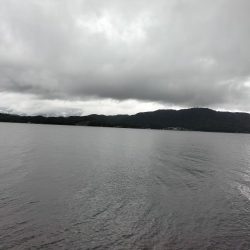 いつもと同じ釣果、、