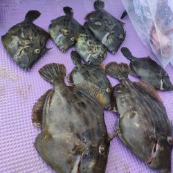 カワハギ釣り。えさ政から