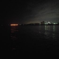 秋アオリイカよ