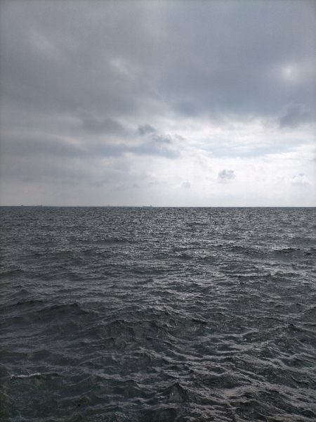 アジ入れ食いとマゴチ