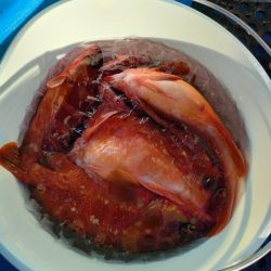 ソフトルアーでアカハタ◎長栄丸