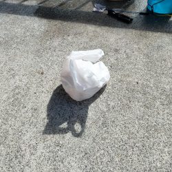 ファミリーフィッシング