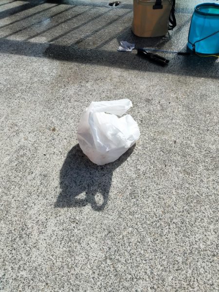 ファミリーフィッシング