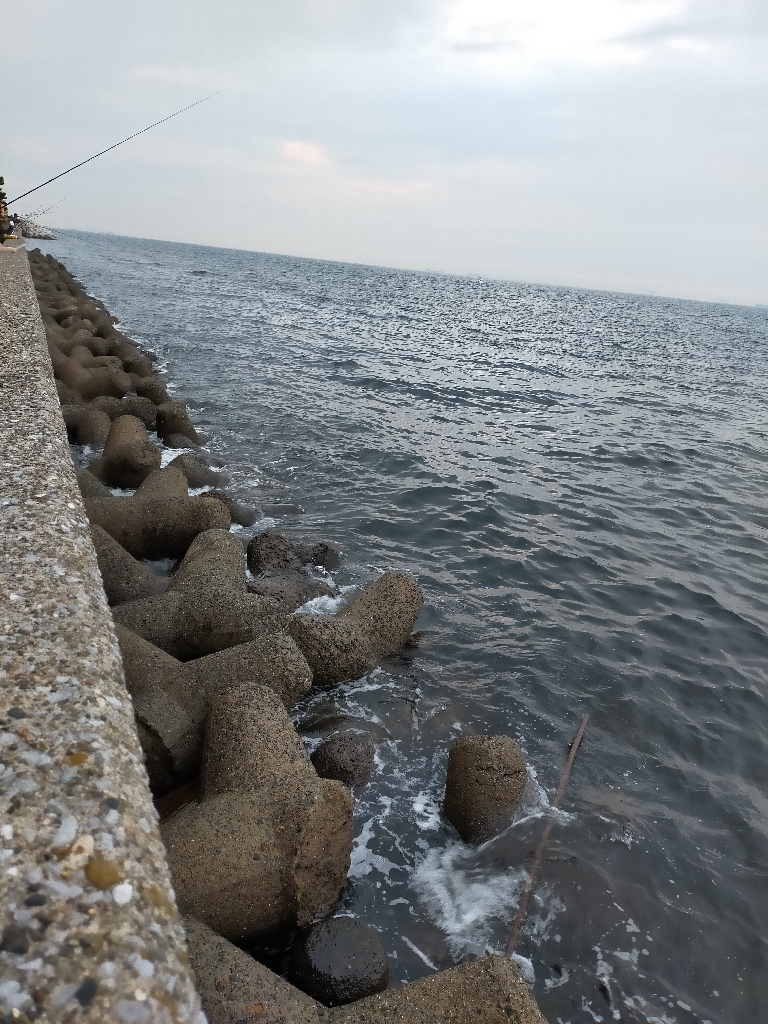 朝マヅメタチウオ