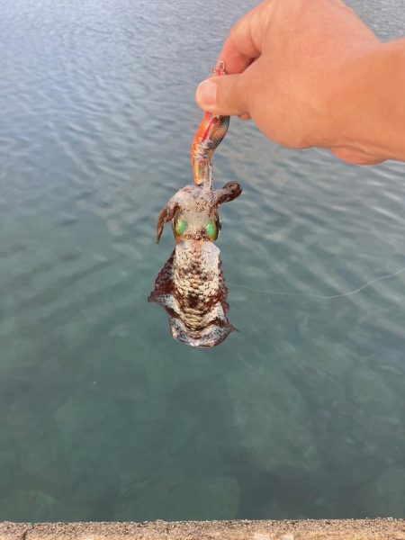 夕まづめでリベンジ