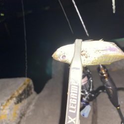 SoaRe XTUNEでの初アジ