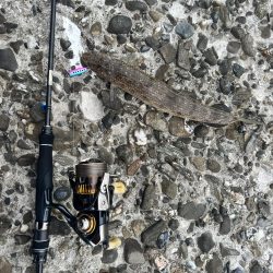 ショアジギング？