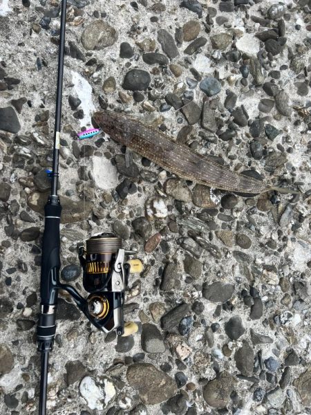 ショアジギング？