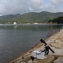 室津のキス釣り