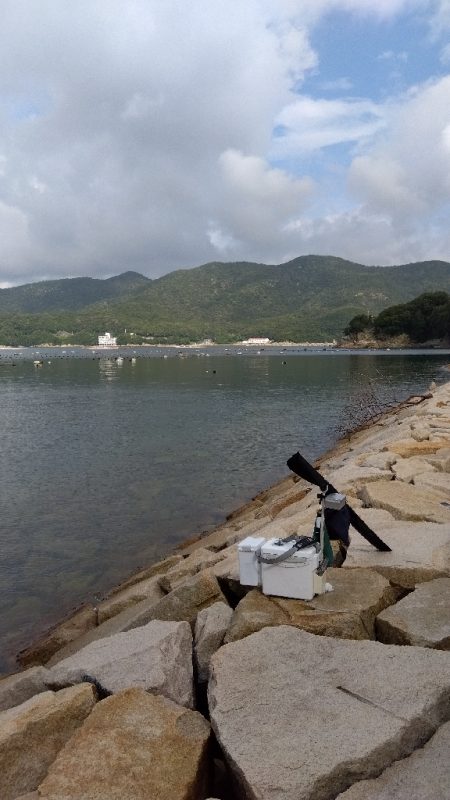 室津のキス釣り