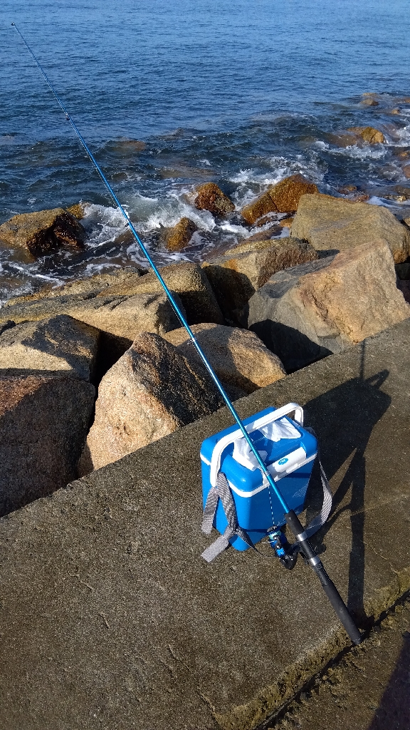苅屋海岸の投げ釣り