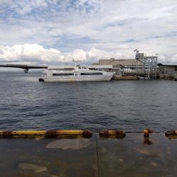 ブリ～　にあと少し