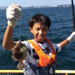 メガフロートでメジロ！！