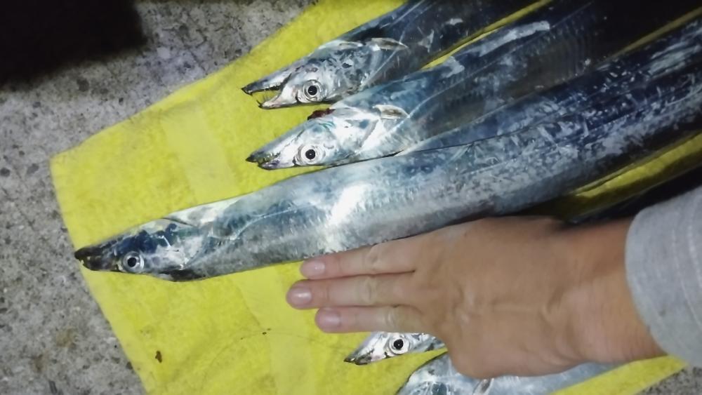 食べる分だけ！