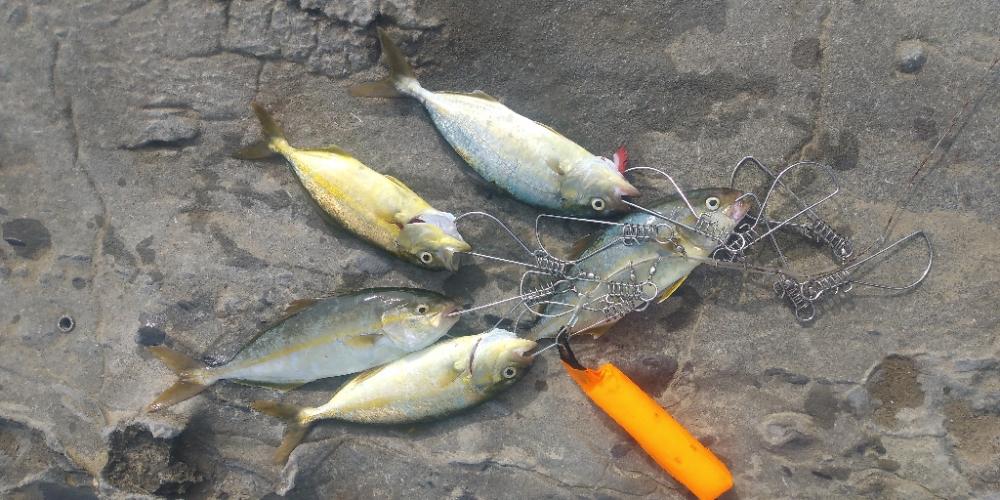 ネリゴのトリプルアタック