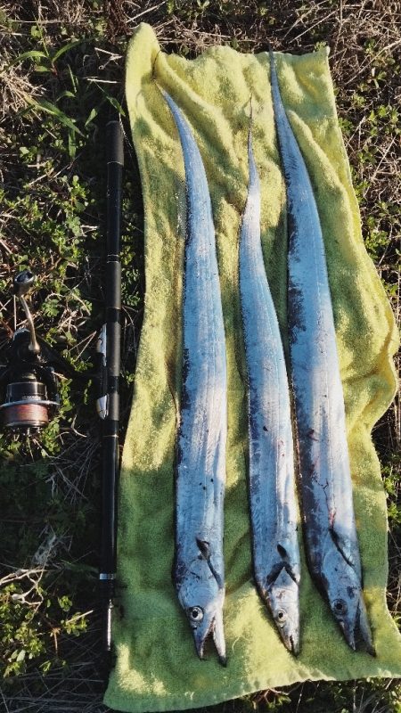 何とか、間に合いました