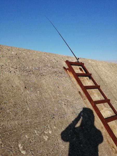 サゴシ狙いも。。