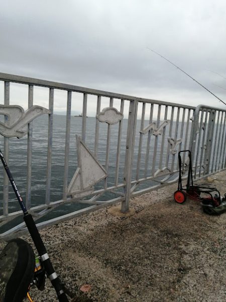 貝塚で釣り調査