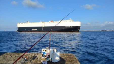 播磨新島のキス釣査
