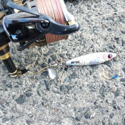 昼下がりの時合いは15:30から