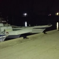 キビナゴで浮き釣り