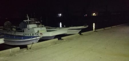 キビナゴで浮き釣り