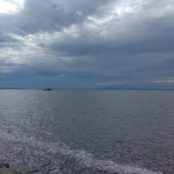 2週連続タチウオぼうず