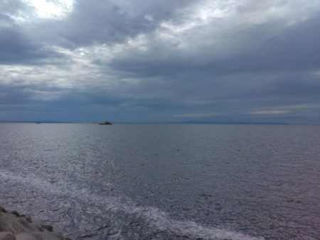 2週連続タチウオぼうず