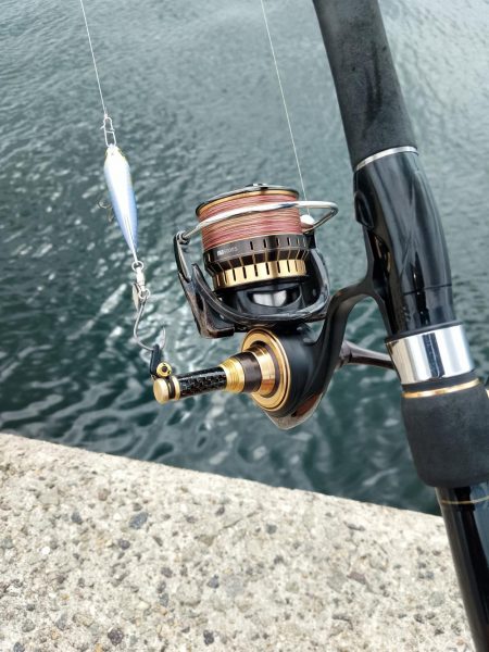 真っ昼間のサゴシ