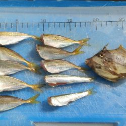 貝塚人工島水道側北詰