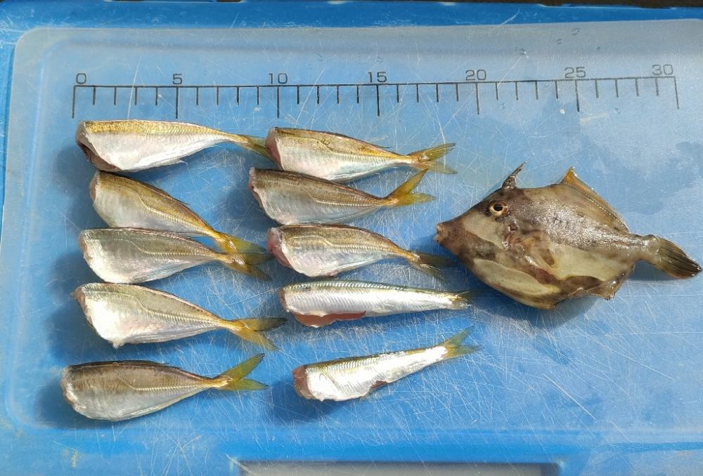 貝塚人工島水道側北詰