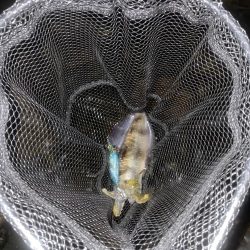 雨は意外と好き！