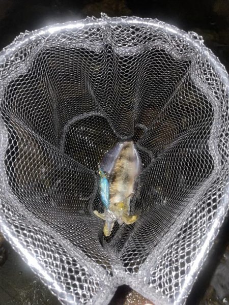 雨は意外と好き！