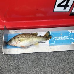 北山田小バス祭り