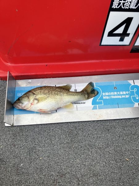 北山田小バス祭り