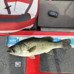 北山田ロクマル