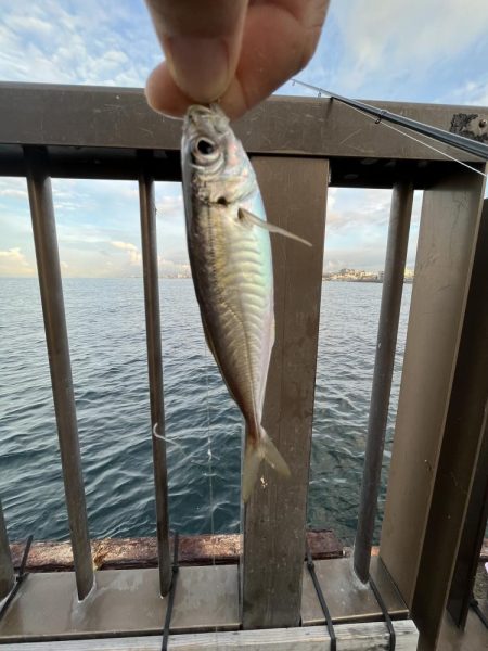 アレ達成ならず