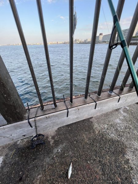 アジの時期長い