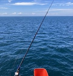 神谷荘さんで秋イサギ