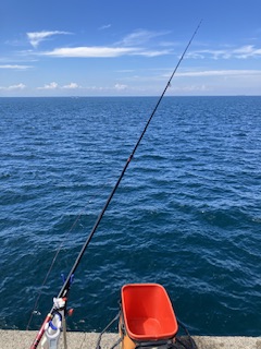 神谷荘さんで秋イサギ