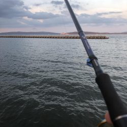 まだまだ黒鯛狙い